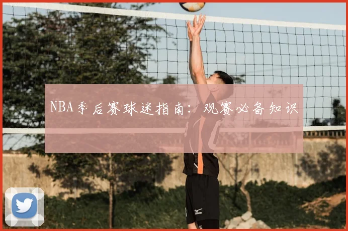 NBA季后赛球迷指南:观赛必备知识